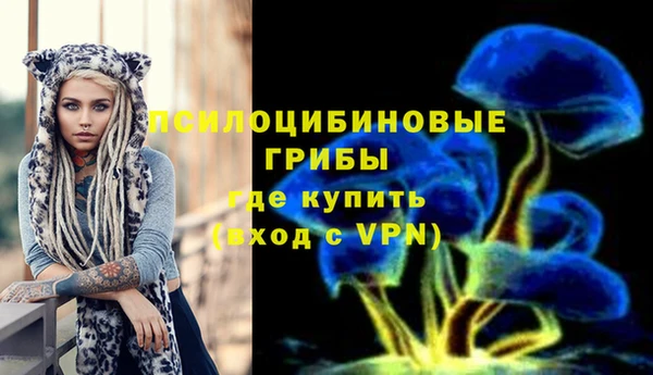ешки Балахна